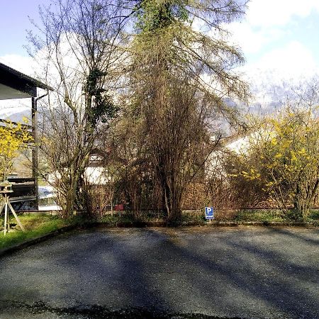 Ferienappartement Thumseestrasse 巴特莱辛哈尔 外观 照片