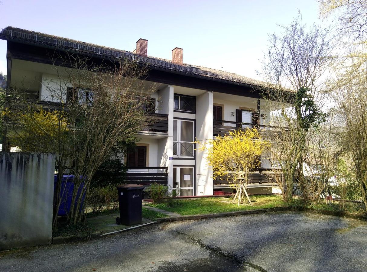 Ferienappartement Thumseestrasse 巴特莱辛哈尔 外观 照片