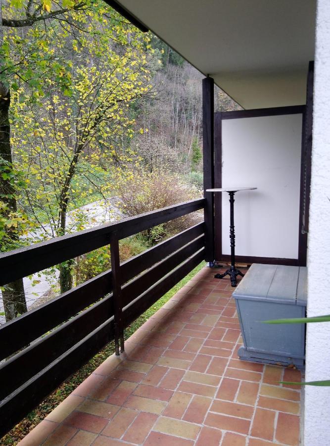 Ferienappartement Thumseestrasse 巴特莱辛哈尔 外观 照片
